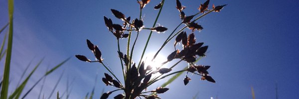 JMarl2 Profile Banner