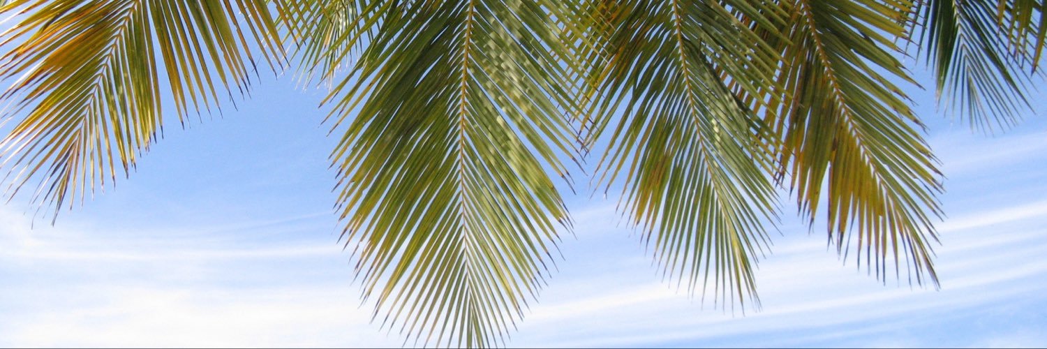 Q8desertstorm's profile banner image