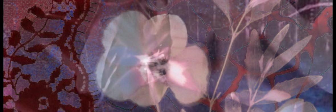 uhfrances's profile banner image