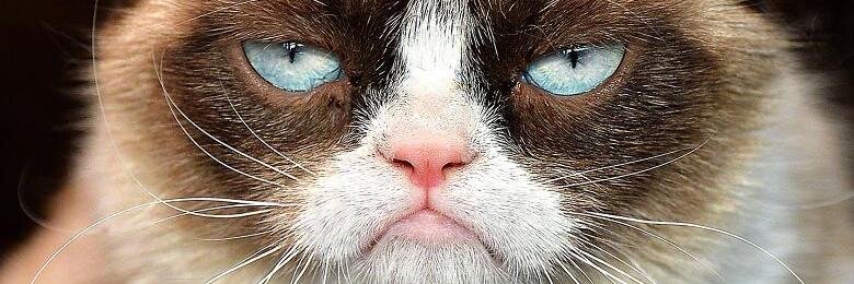 Hadrien Lanneau ᵠ banner