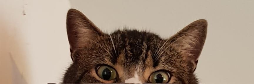 NEOtheONE90's profile banner image