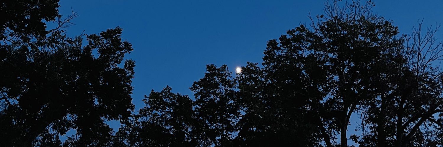 madxnesss's profile banner image