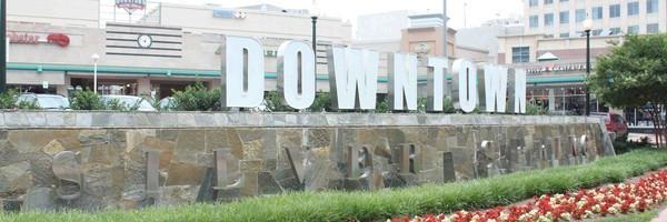 Silver Spring Patch banner