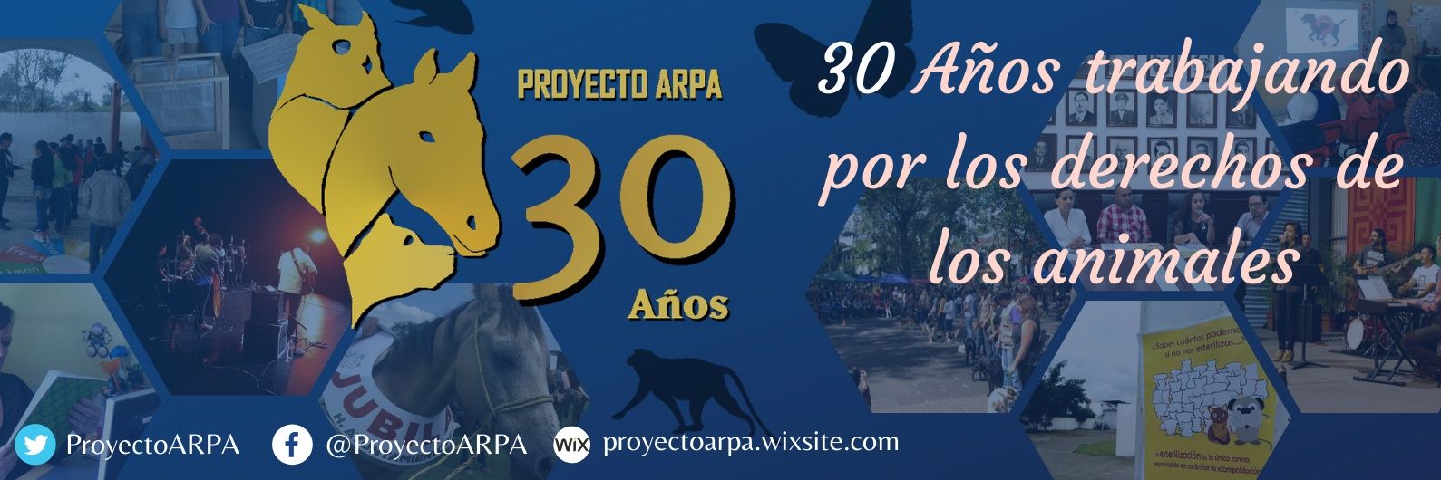 ProyectoARPA's profile banner image