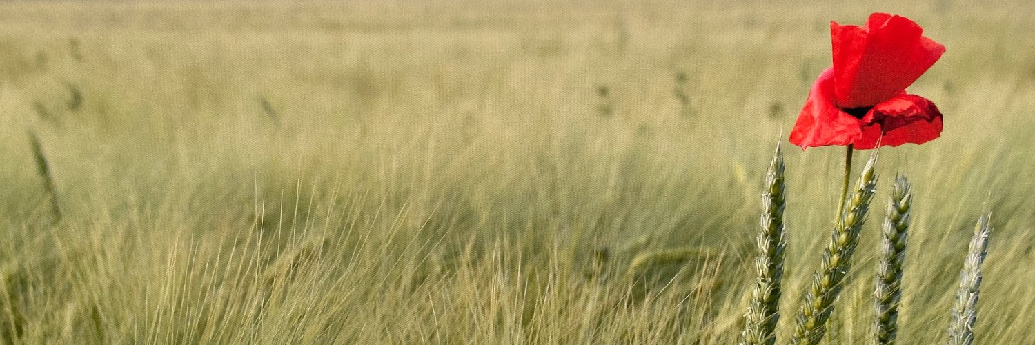 Gesellschaft für Pflanzenzüchtung e.V. (GPZ) banner