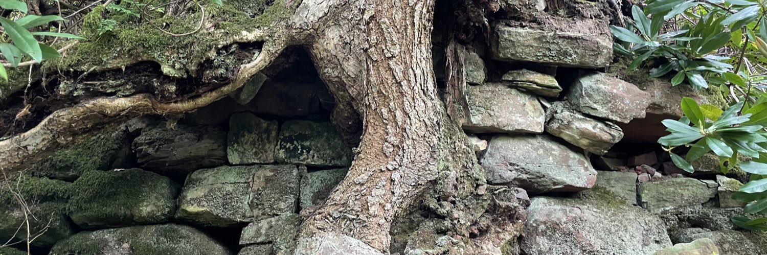 Sam Scott-Moncrieff banner