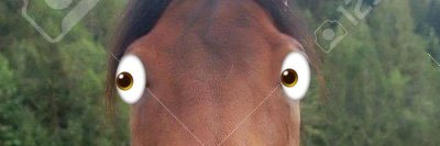 PillBabyMorty's profile banner image