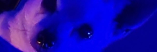 AliasBritt's profile banner image