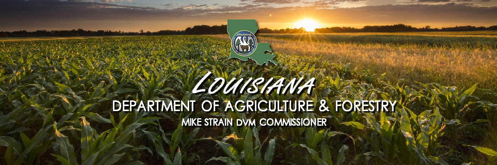 LaAgandForestry's profile banner image