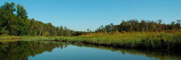 WoodbridgePatch Profile Banner