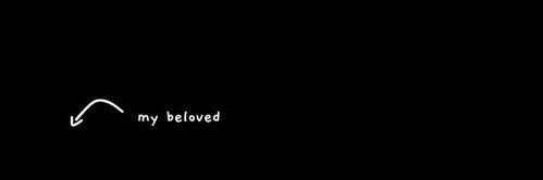 🍀evaaa🪼 banner