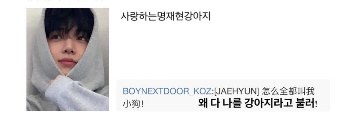 냥재⸜(◍'꒳'◍)⸝ banner