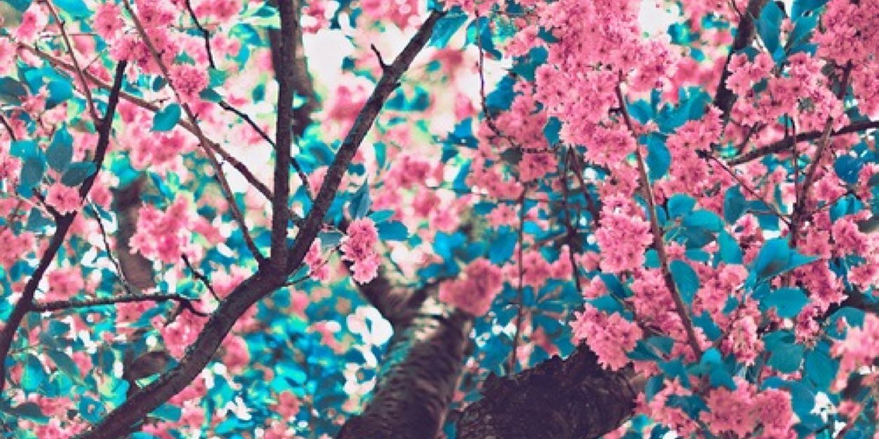 Twekit_Narry's profile banner image