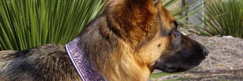 MichaelaS ❤️🤍💙 banner