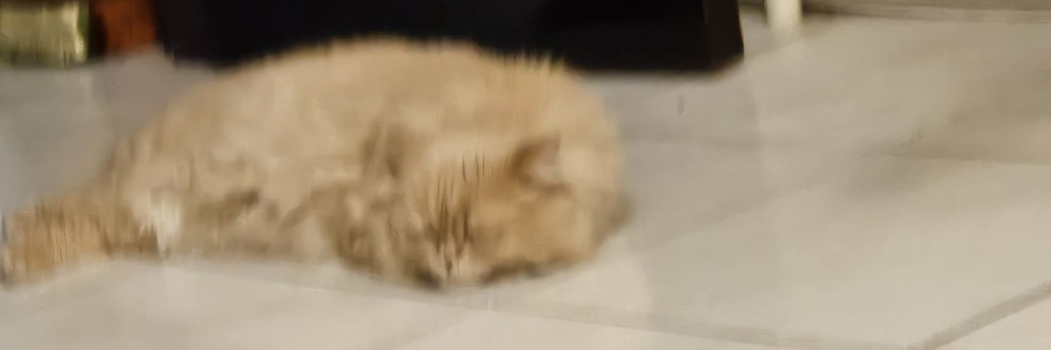 abbymcstabbery's profile banner image