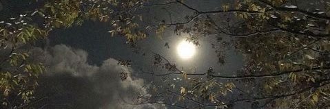 Moon 🌝 banner