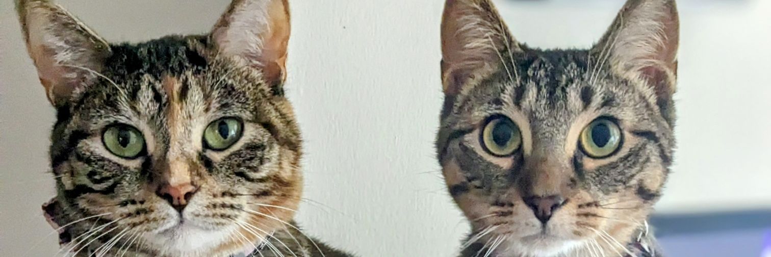 SRTumbie89's profile banner image
