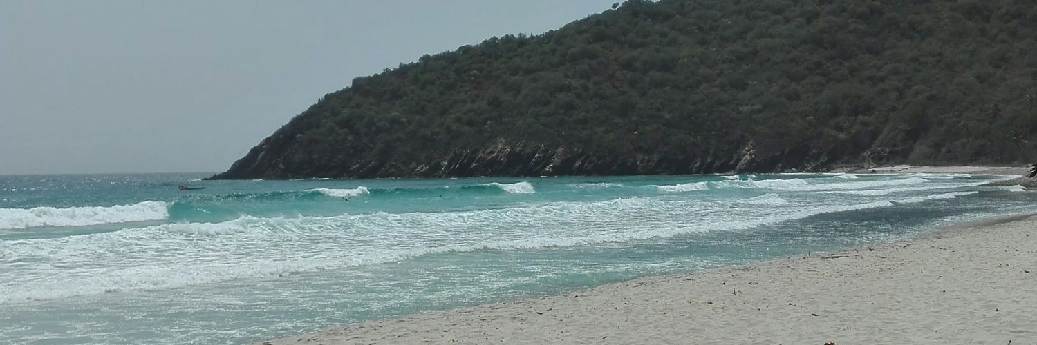 Robert Rodriguez banner