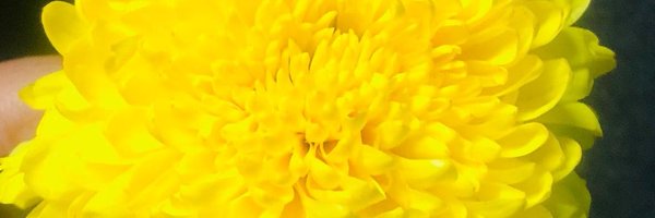 Httweetss Profile Banner