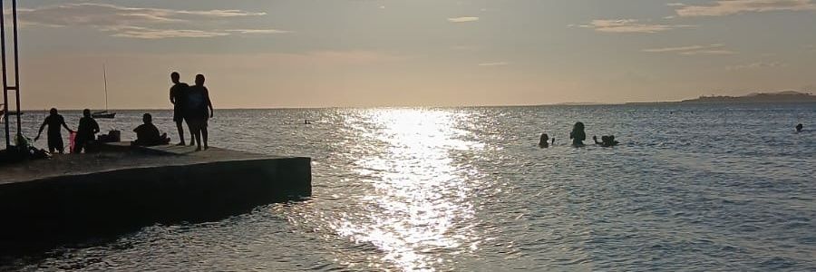Priscilabipolar's profile banner image