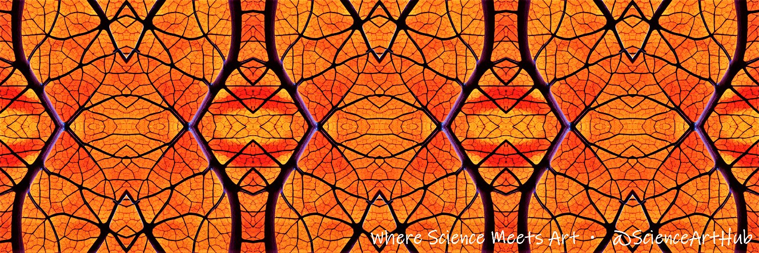 ScienceArtHub's banner