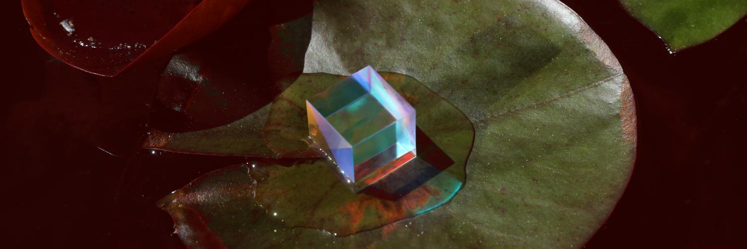 Dropbox Design banner