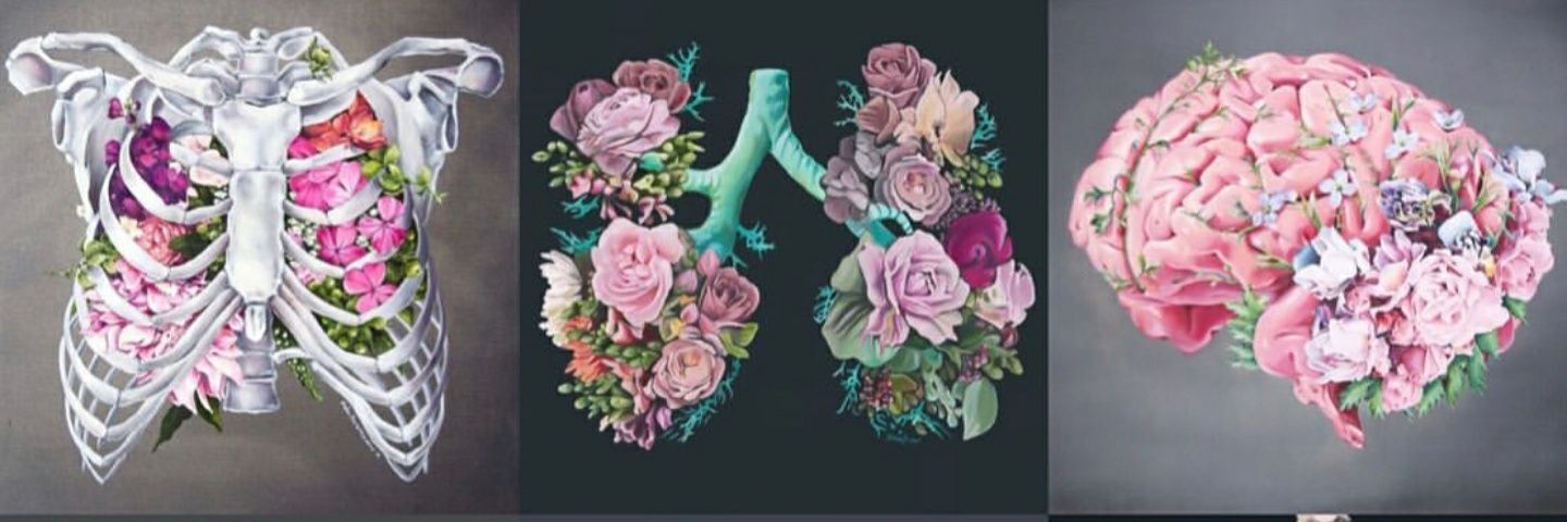 JJdkkr's profile banner image