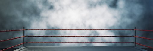 fallen angel banner