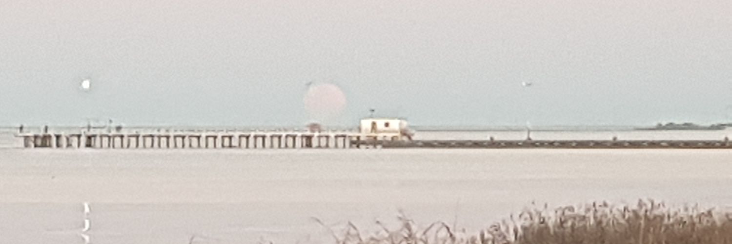 Gustavo Goenaga banner