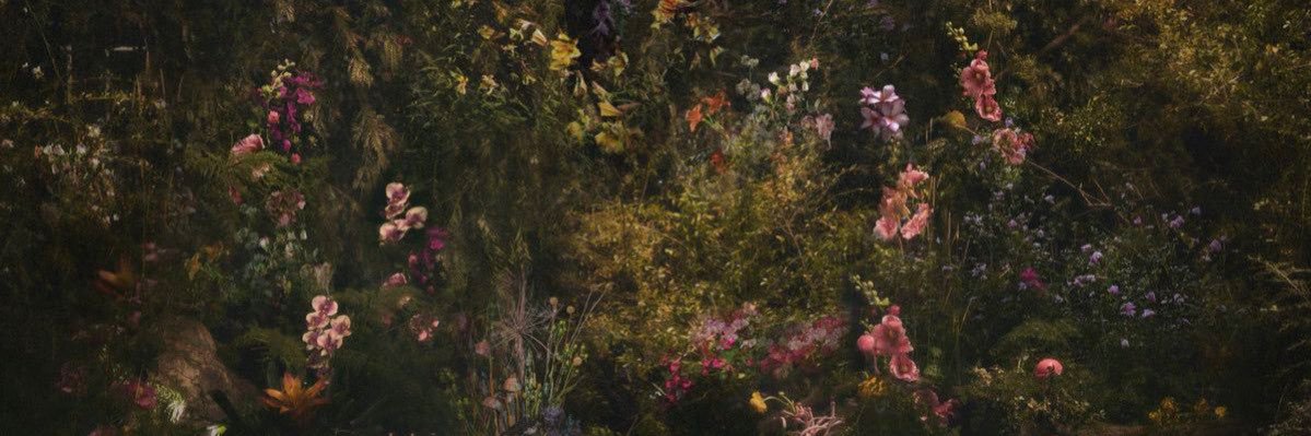 🫶🏻 banner