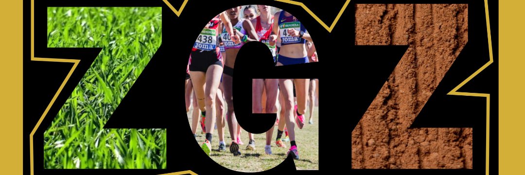 Cross Internacional Aragon banner