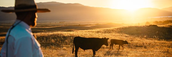 regenranching Profile Banner