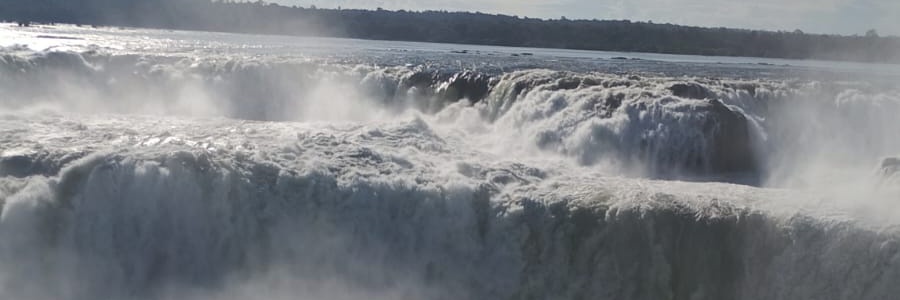 Roxana Kasper banner