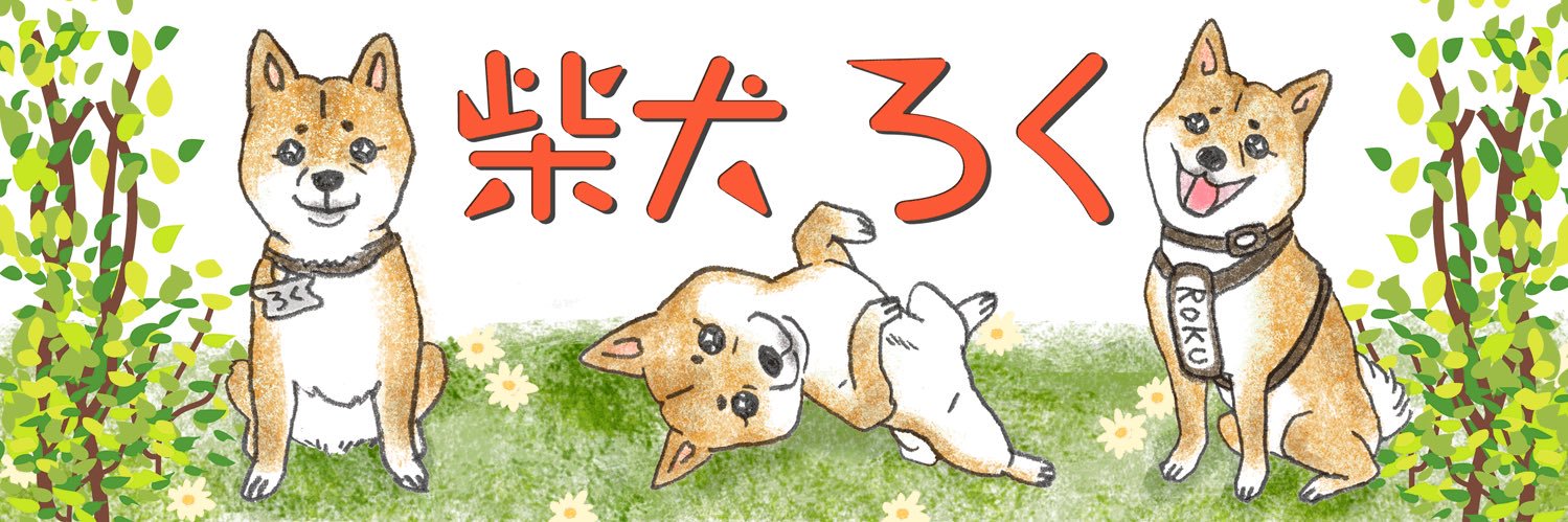 柴犬🐕ろく's banner