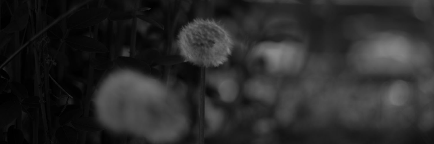socha_san's profile banner image