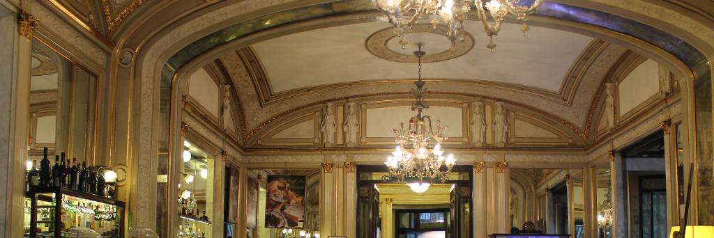 Fernando Franjo banner