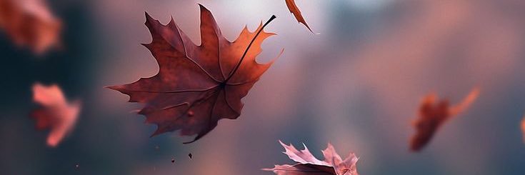 J_Ocando's profile banner image