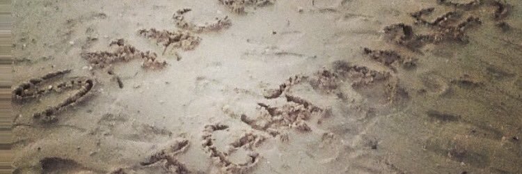 thereal_roshdy's profile banner image