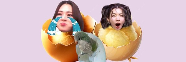 ThomasRDye2 Profile Banner