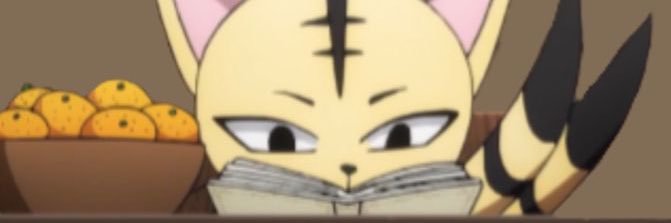 Sofía banner
