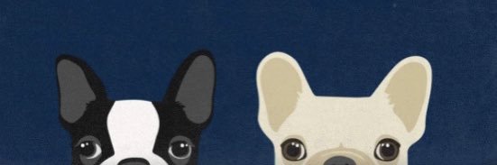 samnblanchard's profile banner image