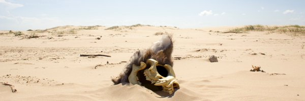 Zeph_rotting Profile Banner