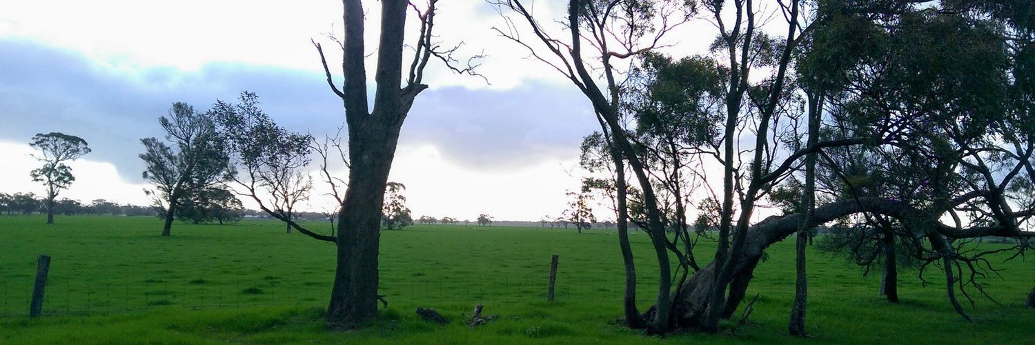 rodneyp290's profile banner image