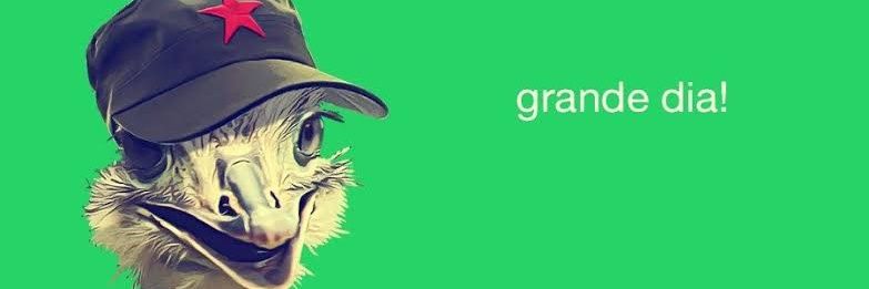 nosasshere's profile banner image