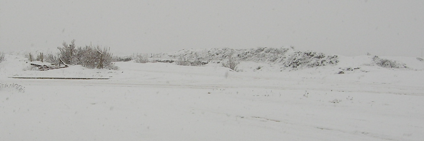carobruni's profile banner image