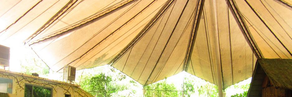 mariarona12 Profile Banner