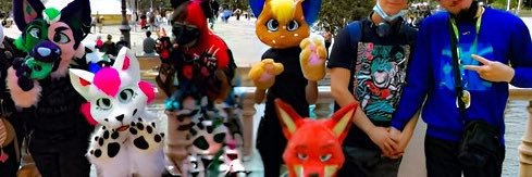 Furry_Diversity's profile banner image