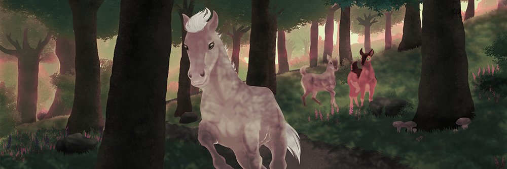 ScotisFr's profile banner image