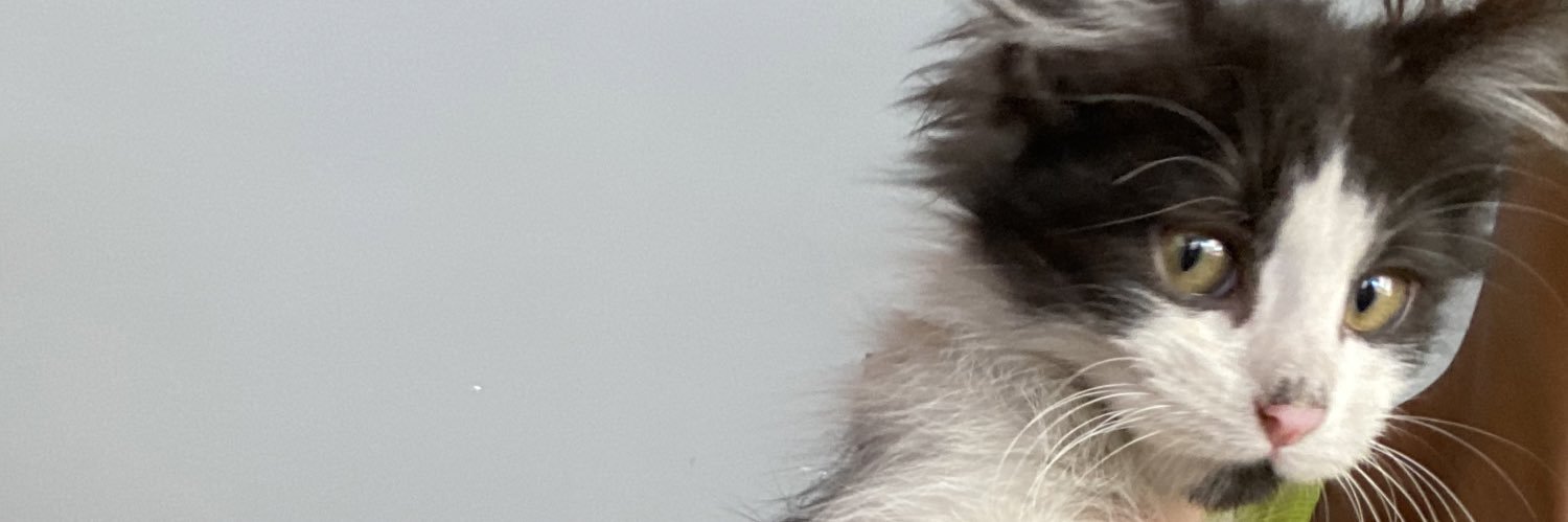 Luudeibe's profile banner image