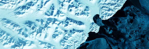 EliseInTheWoods Profile Banner